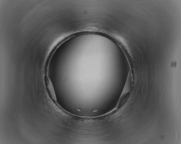 X0000090781326200708031706