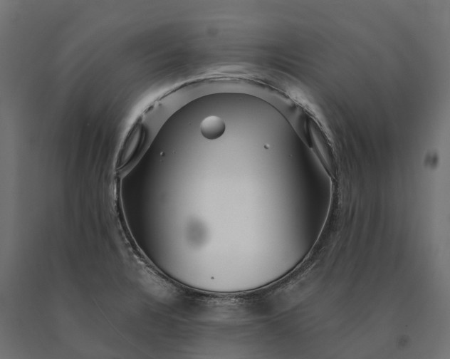 X0000090781328200708031706
