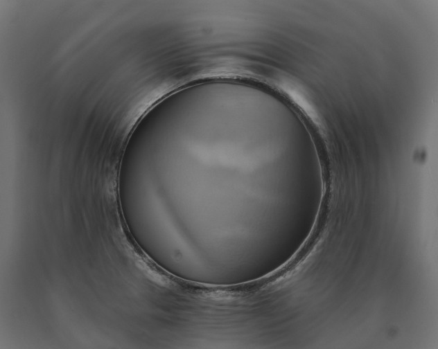 X0000090781329200708031706