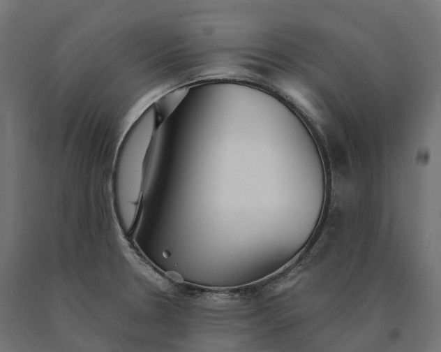 X0000090781330200708031706