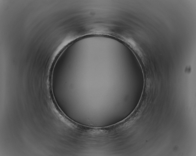 X0000090781331200708031706