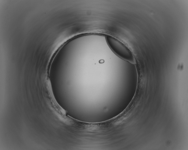 X0000090781332200708031706