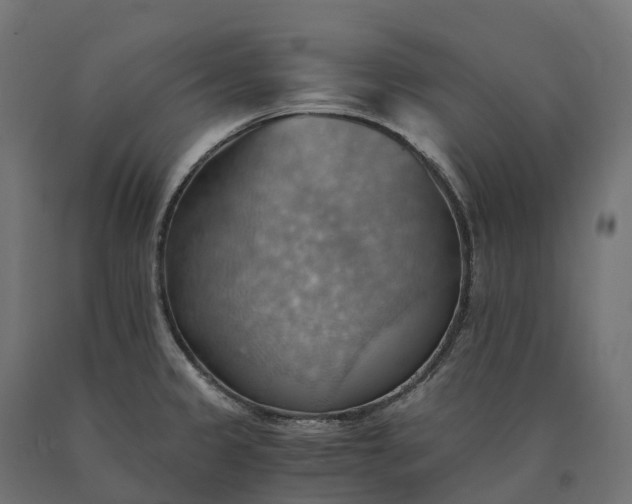 X0000090781333200708031706