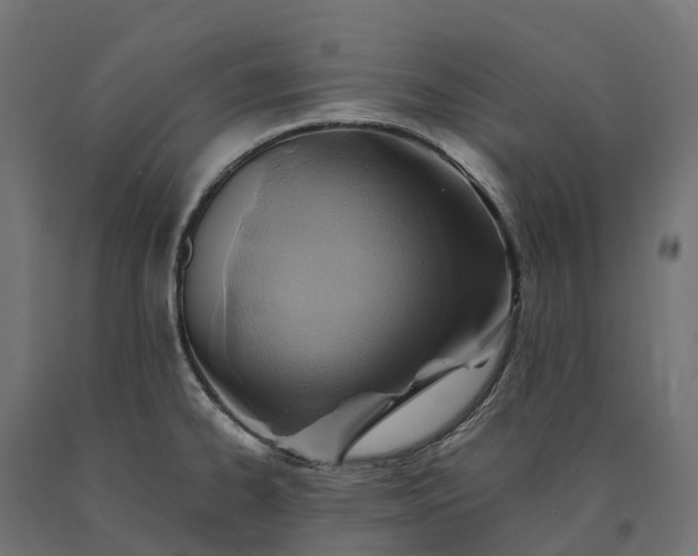 X0000090781334200708031706