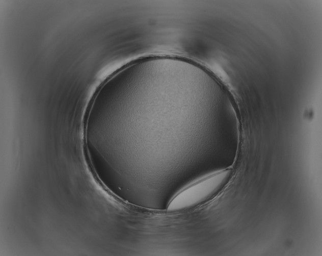 X0000090781335200708031706