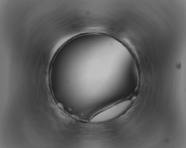 X0000090781336200708031706