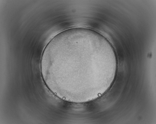 X0000090781338200708031706