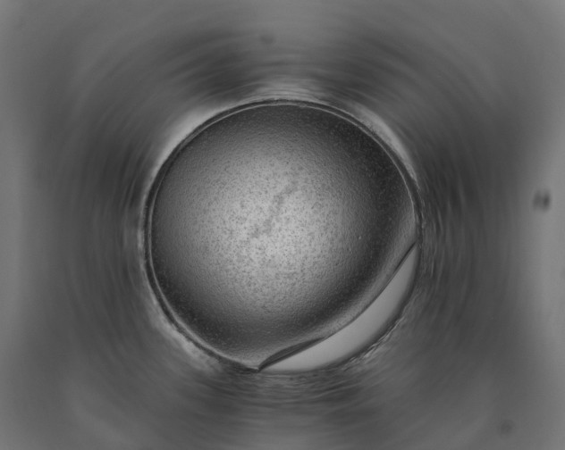 X0000090781339200708031706