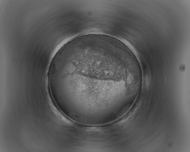 X0000090781341200708031706