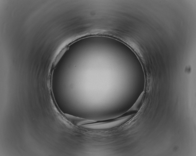 X0000090781342200708031706