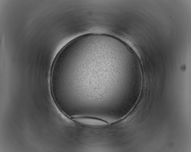 X0000090781343200708031706