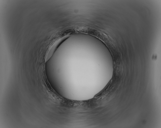 X0000090781345200708031706
