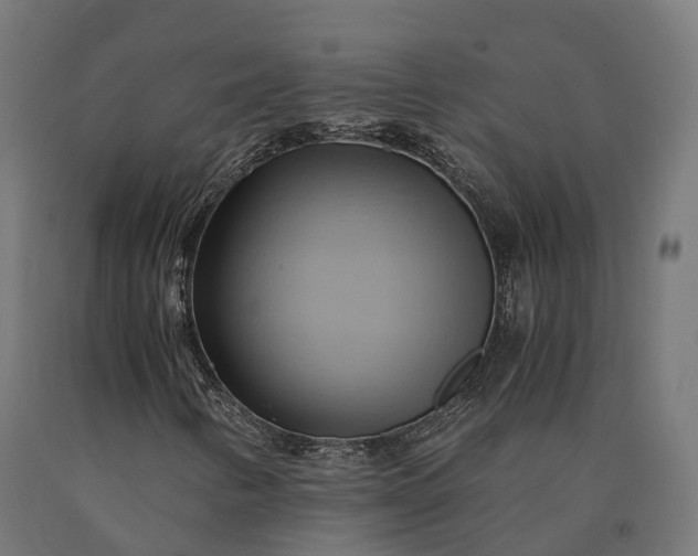 X0000090781346200708031706