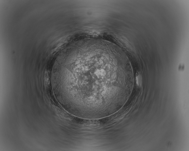 X0000090781347200708031706