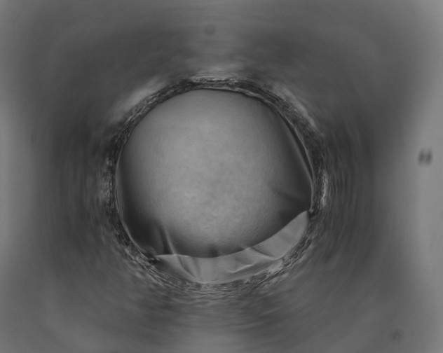 X0000090781350200708031706