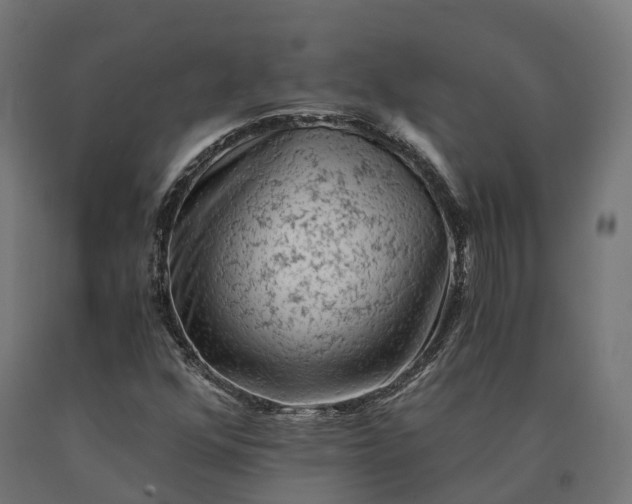 X0000090781352200708031706