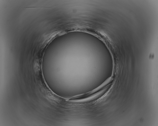 X0000090781353200708031706