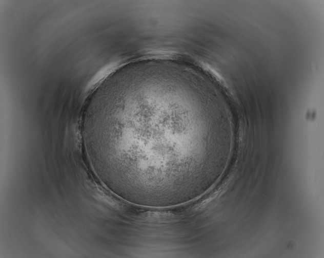 X0000090781354200708031706