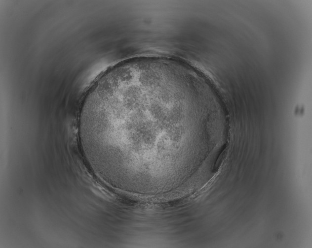 X0000090781355200708031706