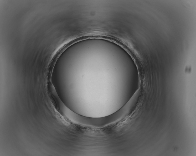 X0000090781356200708031706