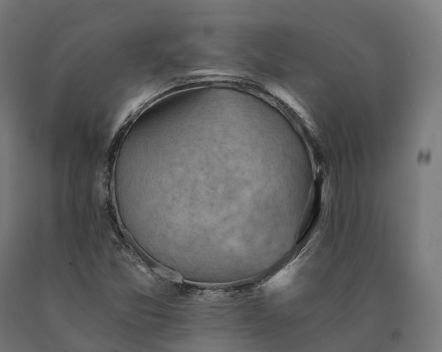 X0000090781357200708031706