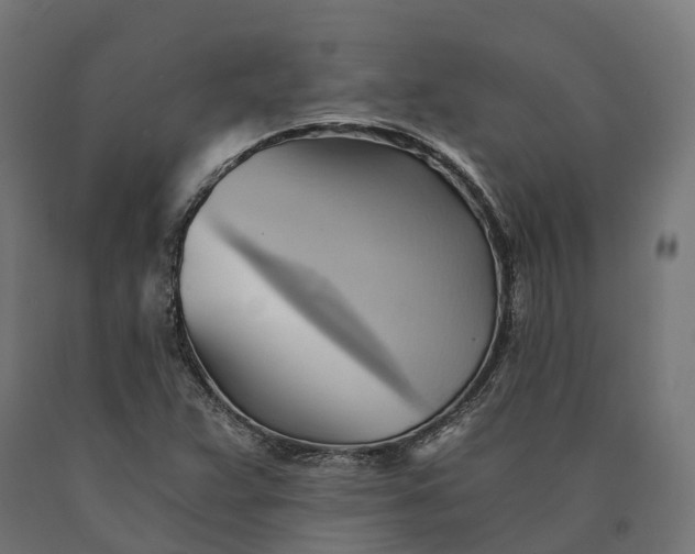 X0000090781359200708031706