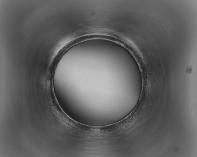 X0000090781360200708031706
