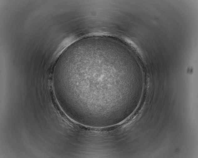 X0000090781361200708031706