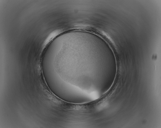 X0000090781362200708031706