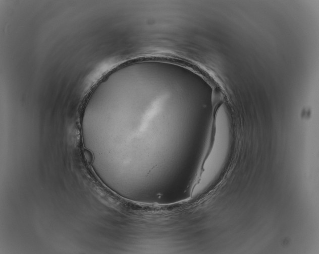 X0000090781363200708031706