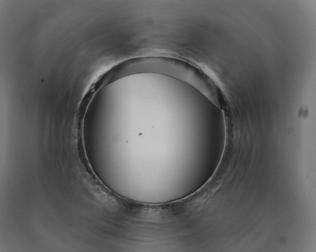 X0000090781364200708031705