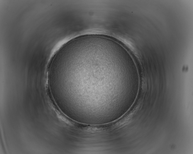 X0000090781366200708031705