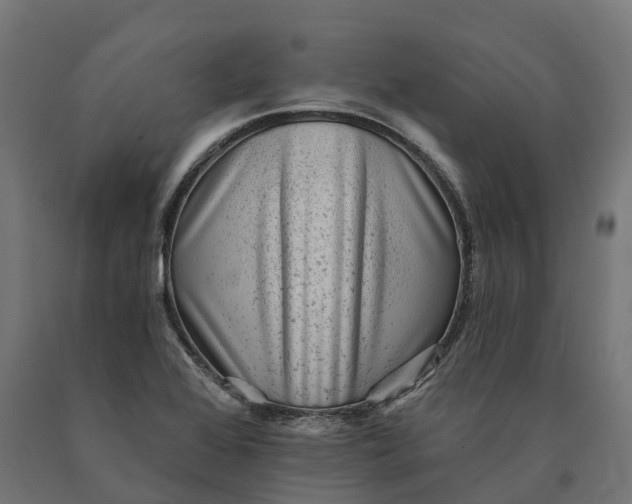 X0000090781368200708031705