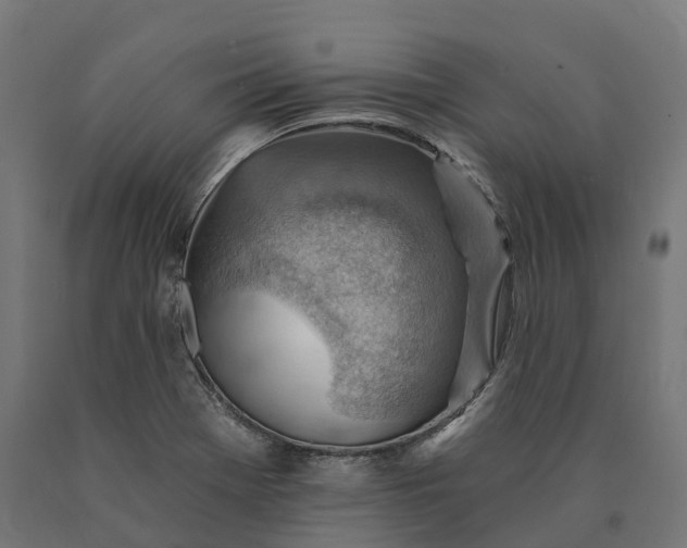 X0000090781369200708031705