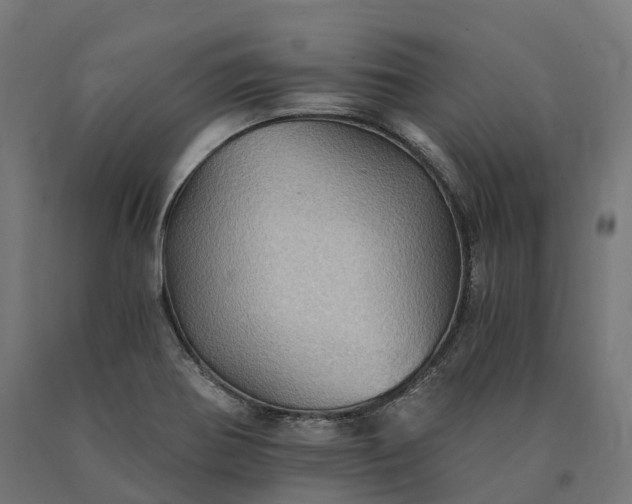 X0000090781370200708031705