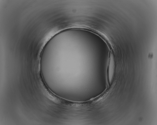 X0000090781371200708031705