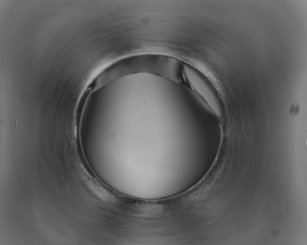 X0000090781372200708031705