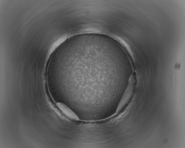 X0000090781373200708031705