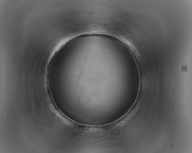 X0000090781374200708031705