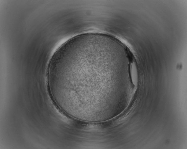 X0000090781375200708031705