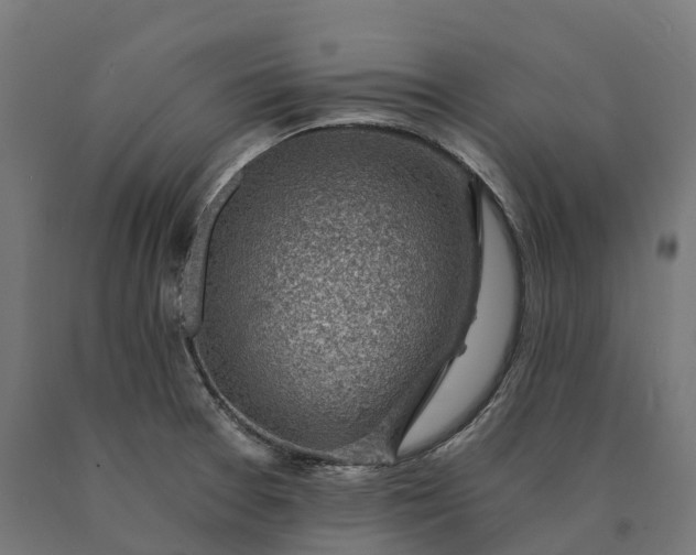 X0000090781377200708031705