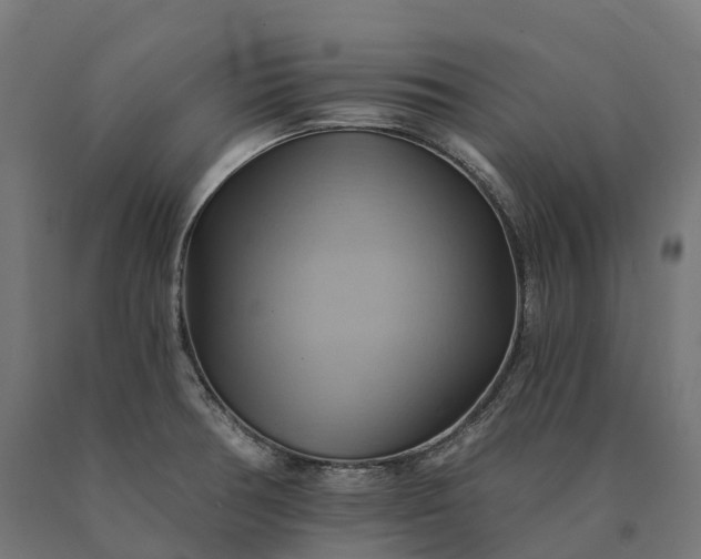 X0000090781378200708031705