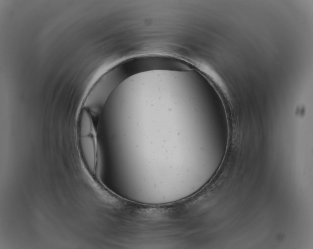 X0000090781380200708031705