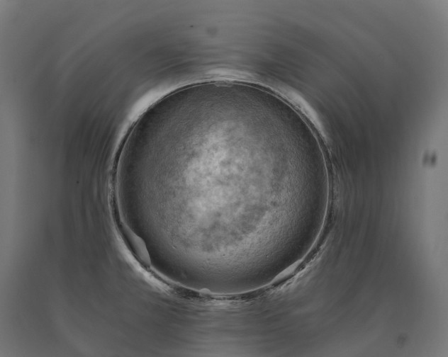 X0000090781381200708031705