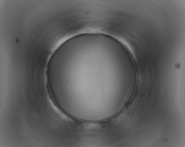 X0000090781382200708031705