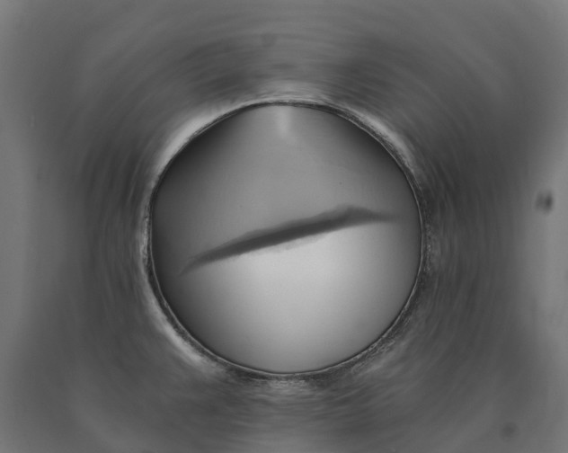 X0000090781383200708031705