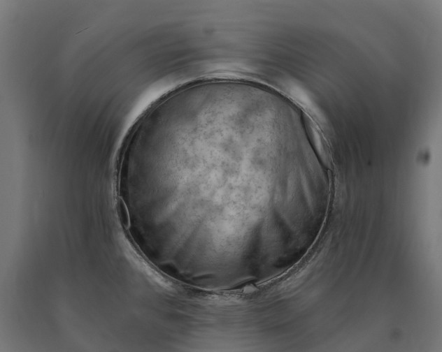 X0000090781384200708031705
