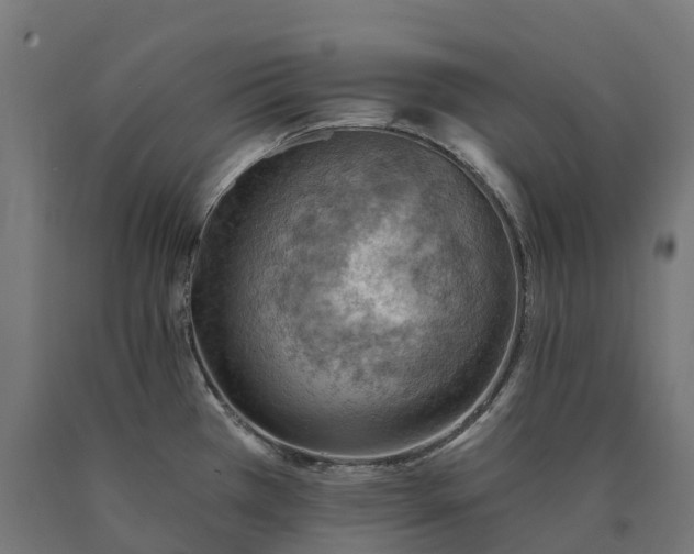 X0000090781385200708031705