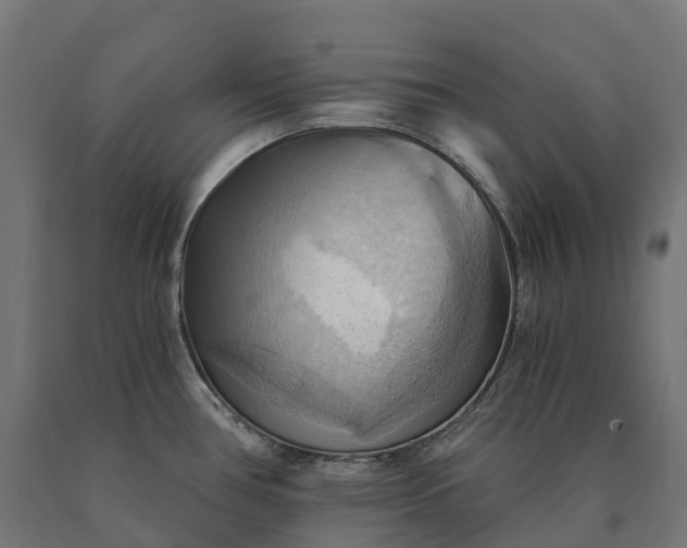 X0000090781386200708031705
