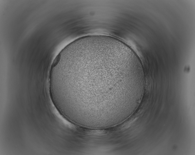X0000090781387200708031705